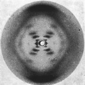 Avatar for cydonia87