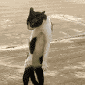 Avatar für juju1392