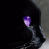 Avatar di Basina
