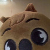 justquacky için avatar