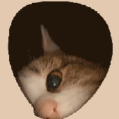 Avatar for mjawy
