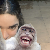Avatar di daftp1nk