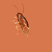 Avatar for updooter