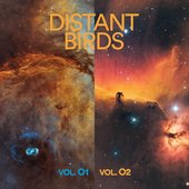 Distant Birds