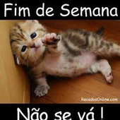 Avatar de Felipefrangof
