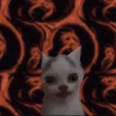 Avatar for GooseOfBelarus