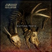 Cutting Teeth