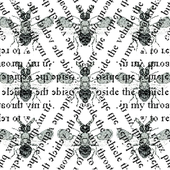 Avatar for sezentoldmeso
