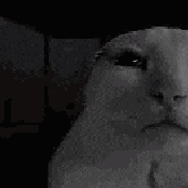 Avatar di macieeejjj