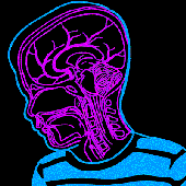 Avatar for mur_doc