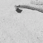 Avatar di CrotaIusAtrox