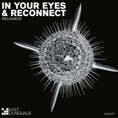 In Your Eyes & Reconnect - Single
