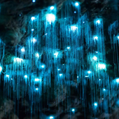 Avatar for chillbrummi