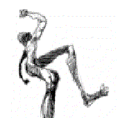 Avatar di Drakemandra