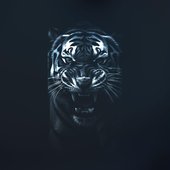 Тігири - Single