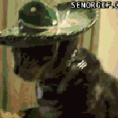 Avatar für jurster