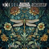 Boost (Arcana, DigiCult & MoRsei Remix)