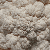 Avatar di guicaje