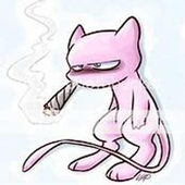 Avatar for lcvqii