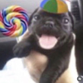 Avatar de keykey00