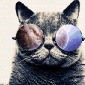 Avatar for trasted