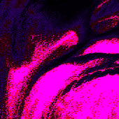 Avatar for sawsily