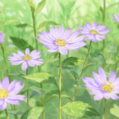 Avatar für teawhisk