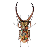 Avatar for GL00MY_B3AR