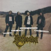 Rotheads