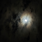 Avatar for jupiter_lolz