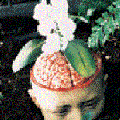Avatar for boys_therapy