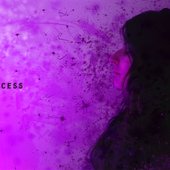 DNAprocess