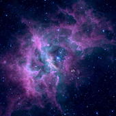 SpaceManatee için avatar