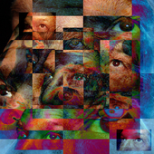 Avatar für qubit54