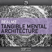 Tangible Mental Architecture