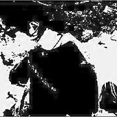 blackandwhite.jpg