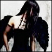 Avatar for Blackwingzz