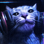 Avatar for will_1234