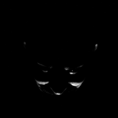 Avatar for shashaloo