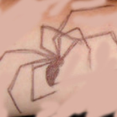 Avatar for fwao
