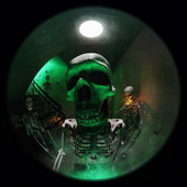 Avatar for favritexplosion