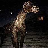 it gets dark