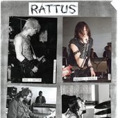Rattus