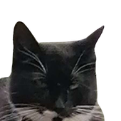 Avatar di Igelfo