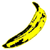 Avatar for NotSoVelvet