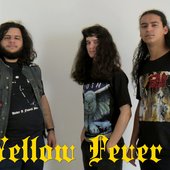 yellow fever