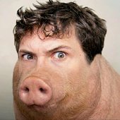 Topigcus