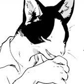 Avatar for ncikfox