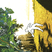Avatar for switch1e