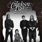 Cardinal Line_5.JPG